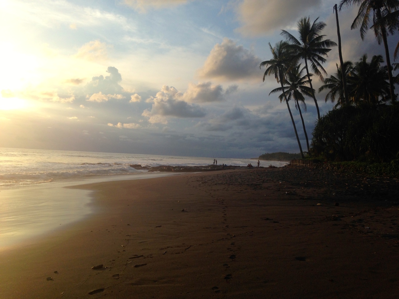 The Bali Diary: Dolphins at Sunrise