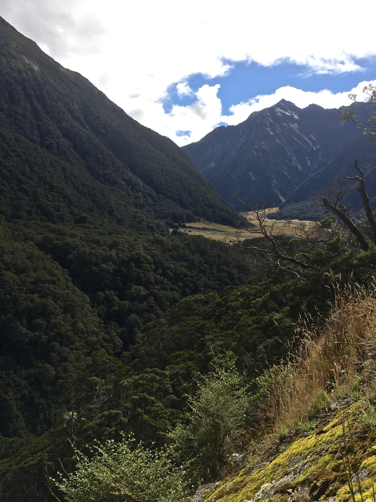 Notes from New Zealand: Part III